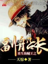 重生海贼王之副船长图片