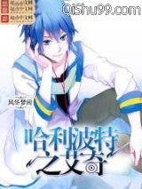 《哈利波特之艾奇》全本TXT下载-作者：风华梦间