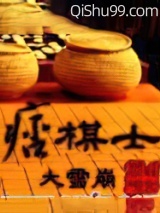 《痞棋士》全本TXT下载-作者：大雪崩