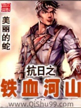 抗日之铁血河山图片