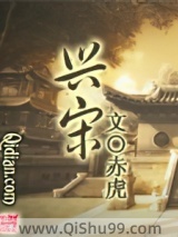 兴宋小说