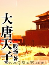 《大唐天子》全本TXT下载-作者：殷扬