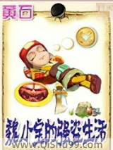 《魏小宝的强盗生活》全本TXT下载-作者：黄石