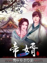 帝婿小说