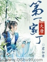 大唐第一家丁图片