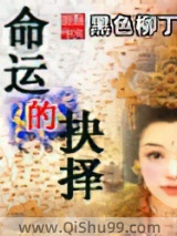 《命运的抉择》全本TXT下载-作者：黑色柳丁