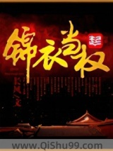 锦衣当权小说