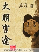 《大明官途》全本TXT下载-作者：高月