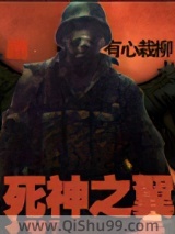 《死神之翼》全本TXT下载-作者：有心栽柳