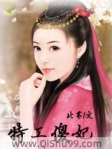 《特工傻妃》全本TXT下载-作者：北苇