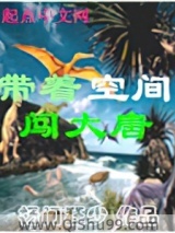 《带着空间闯大唐》全本TXT下载-作者：杨门狂少