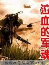 《泣血的军魂》全本TXT下载-作者：恋燕石