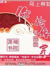 《你丫抢婚有完没完》全本TXT下载-作者：陌上柳絮