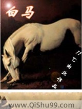 白马图片