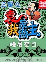 三国之袁家我做主图片