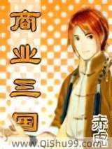 商业三国小说