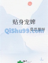 贴身宠婢图片