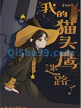 （HP同人）[HP]我的猫头鹰迷路了图片