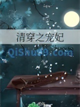 《清穿之宠妃》全本TXT下载-作者：文婉