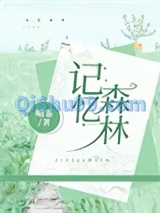 记忆森林图片
