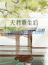 夫君重生后图片