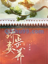 娇妻贵养图片