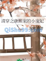 清穿之康熙家的小宠妃图片