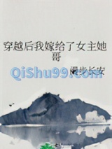 《穿越后我嫁给了女主她哥》全本TXT下载-作者：漫步长安