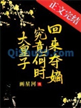 大皇子究竟何时夺嫡图片