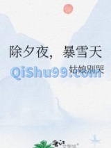 除夕夜，暴雪天图片