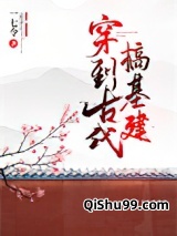 穿到古代搞基建图片