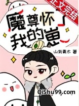《魔尊怀了我的崽[穿书]》全本TXT下载-作者：山有青木