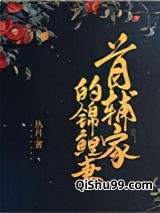 首辅家的锦鲤妻图片