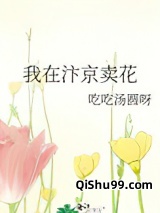 我在汴京卖花图片