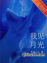 我见月光图片