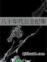 八十年代公主纪事图片