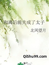 和离后前夫成了太子图片