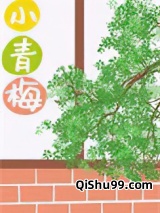 小青梅[八零]图片
