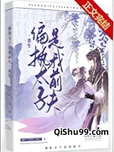偏执太子是我前夫（重生）图片