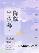 当夜幕降临图片