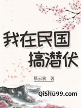 我在民国搞潜伏[穿书]图片