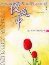《夜风中》全本TXT下载-作者：岑凯伦