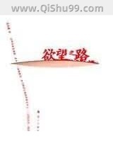 《欲望之路》全本TXT下载-作者：王大进