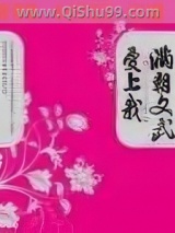 《满朝文武爱上我》全本TXT下载-作者：云霓