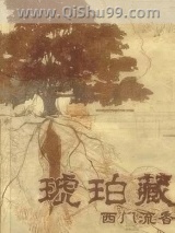 《琥珀藏》全本TXT下载-作者：西门流香