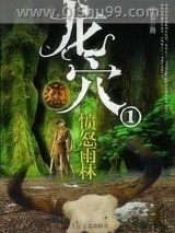 龙穴小说