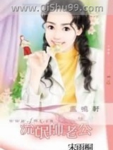 《流氓帅老公》全本TXT下载-作者：宋雨桐