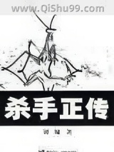 杀手正传图片