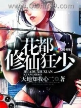 空姐的贴身高手图片