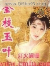 《金枝玉叶》全本TXT下载-作者：灯火阑珊